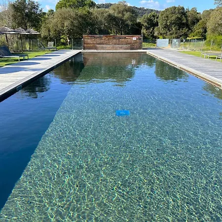 T2 Pieds Dans L'eau Santa Giulia Porto-Vecchio